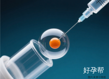 香港促排卵技术费用及流程解析，提高试管婴儿成功率